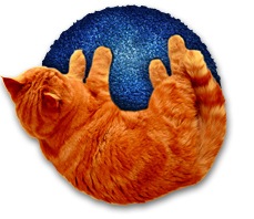Firefox Logo Katze